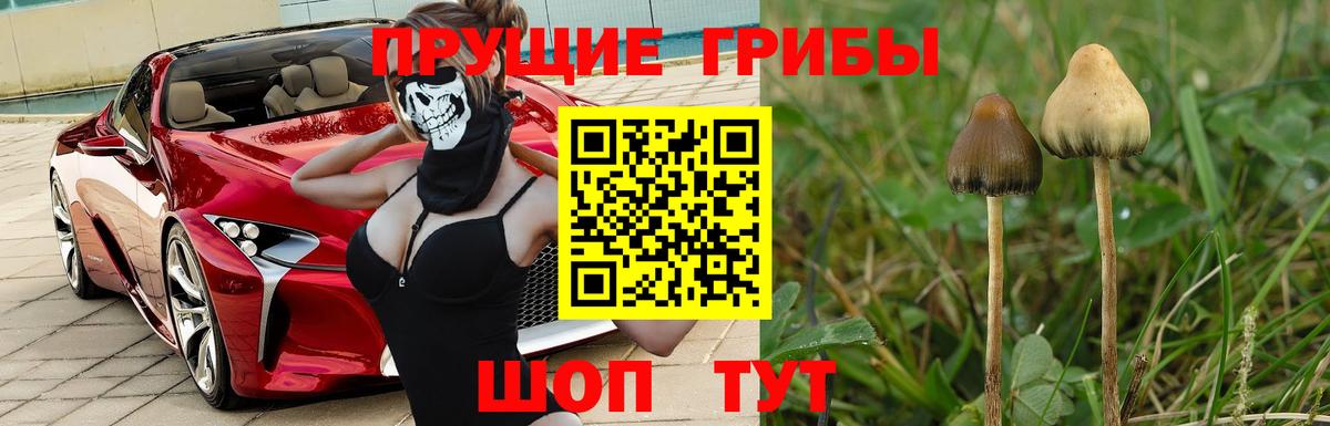 Псилоцибиновые грибы ЛСД  Псилоцибиновые грибы Psilocybe  Вход с VPN  Мыски 
