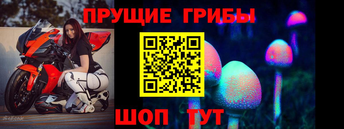 Псилоцибиновые грибы Psilocybe Мыски